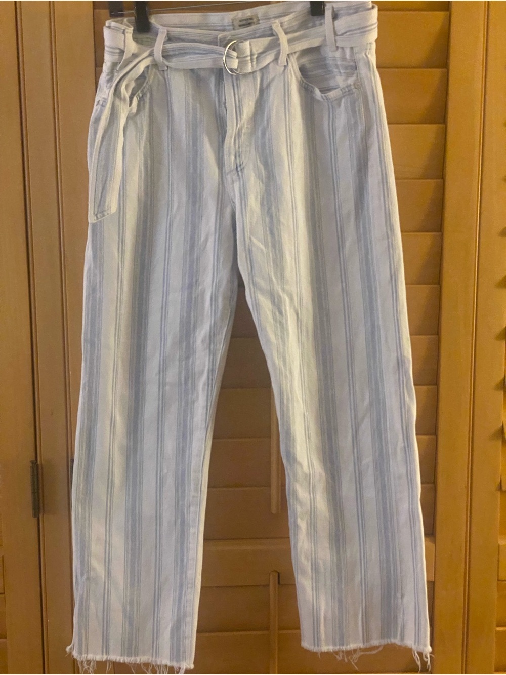 Citizens of Humanity Emery Belted High Rise Relaxed Crop Striped Jeans Size